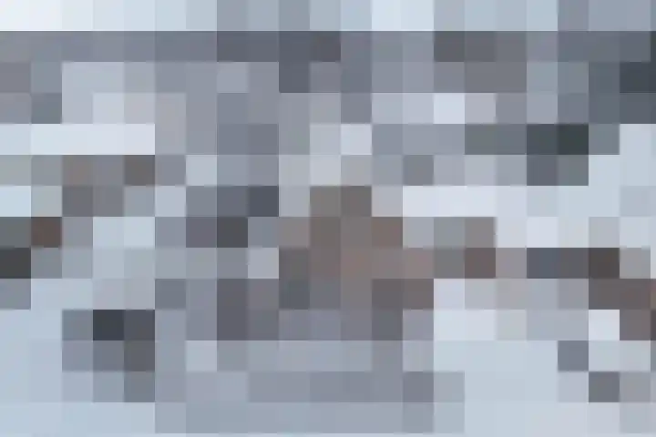 Hulshorstpad 1 Emmeloord thumbnail 40