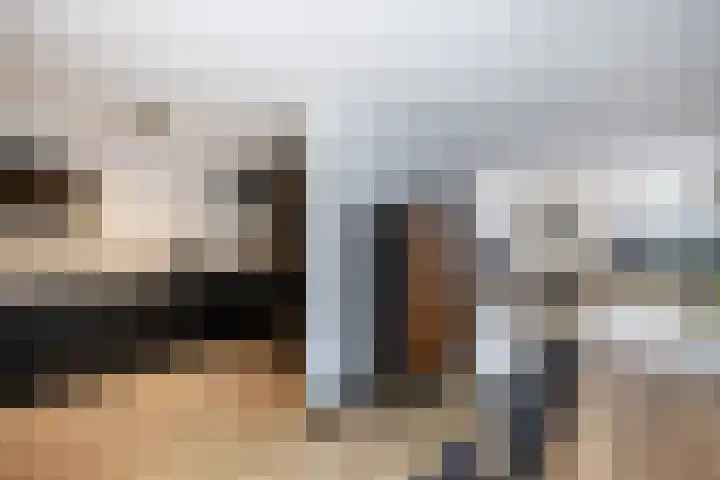 Hulshorstpad 1 Emmeloord thumbnail 5