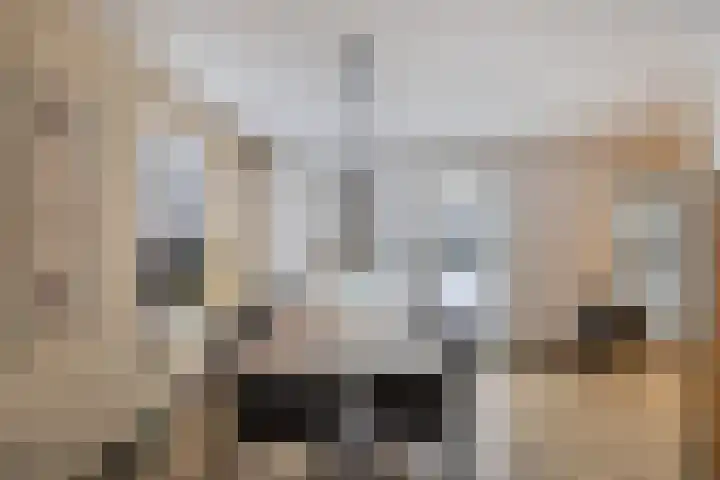 Hulshorstpad 1 Emmeloord thumbnail 6