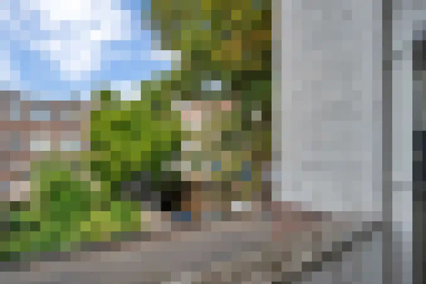 Hulshorststraat 13 Den Haag thumbnail 18