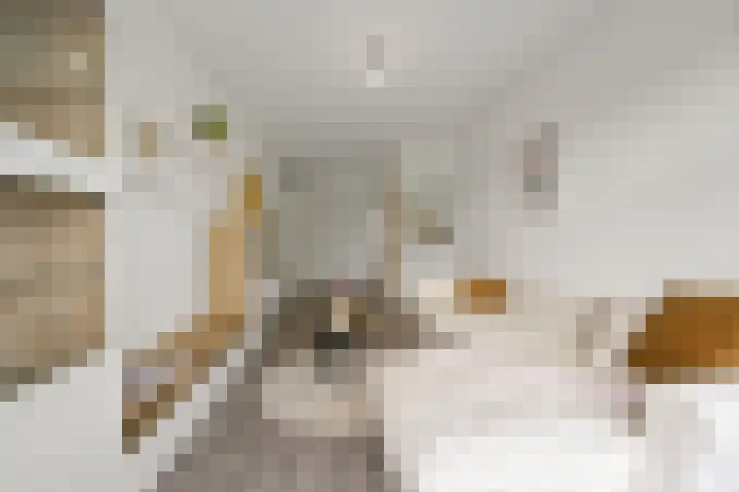 Hulshorststraat 301 A Den Haag thumbnail 5