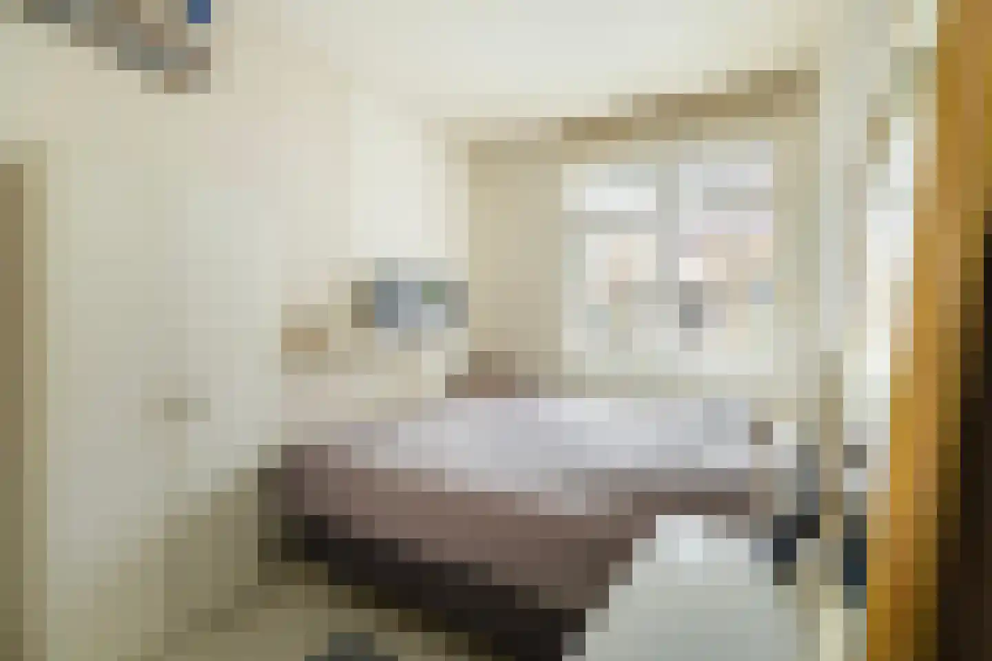 Hulshorststraat 97 Den Haag thumbnail 13