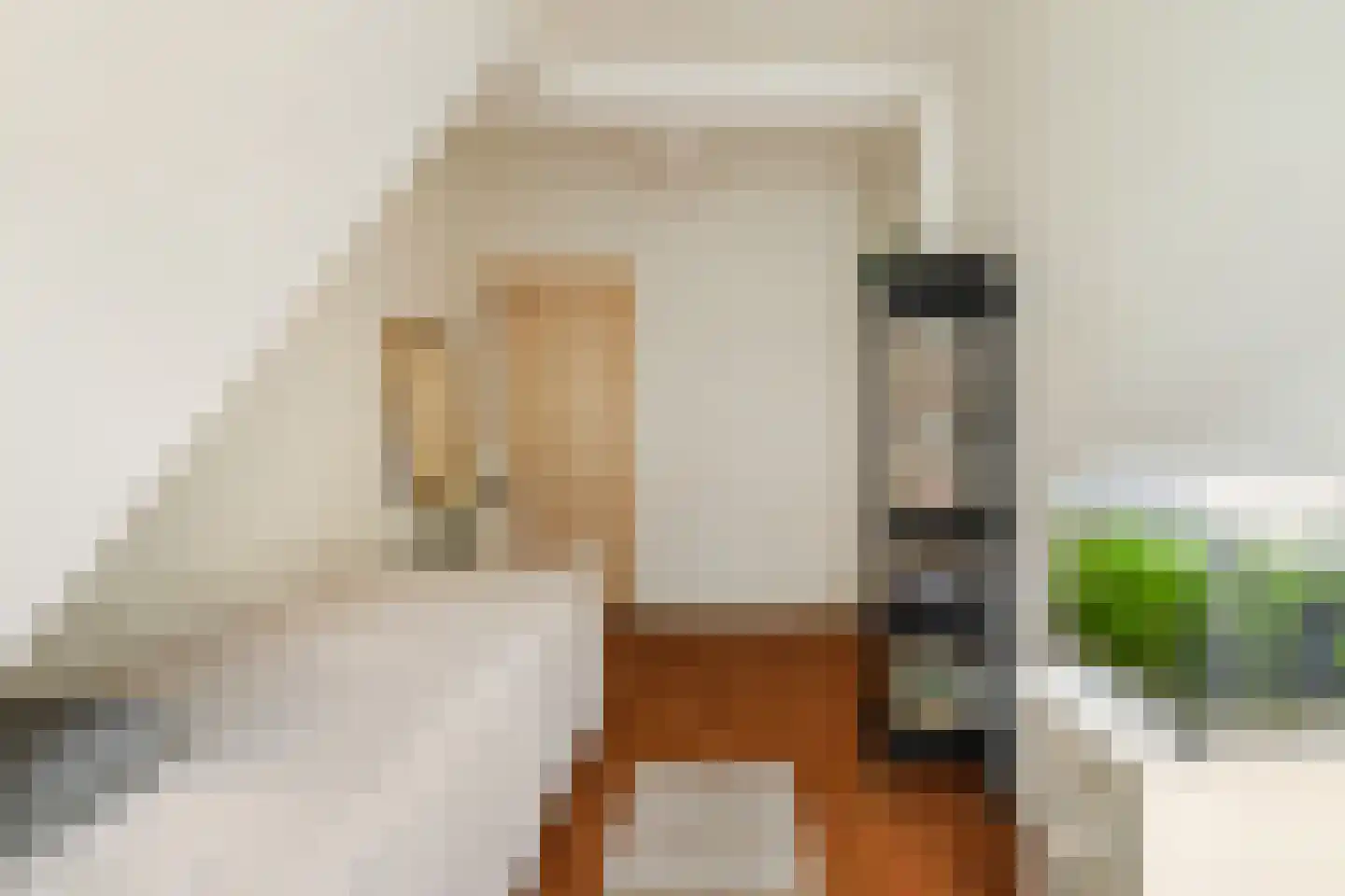 Hulshorststraat 97 Den Haag thumbnail 15