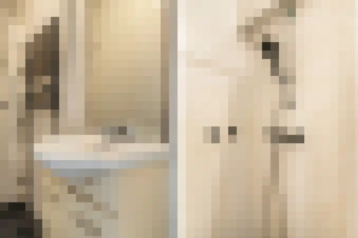 Hulshorststraat 97 Den Haag thumbnail 17