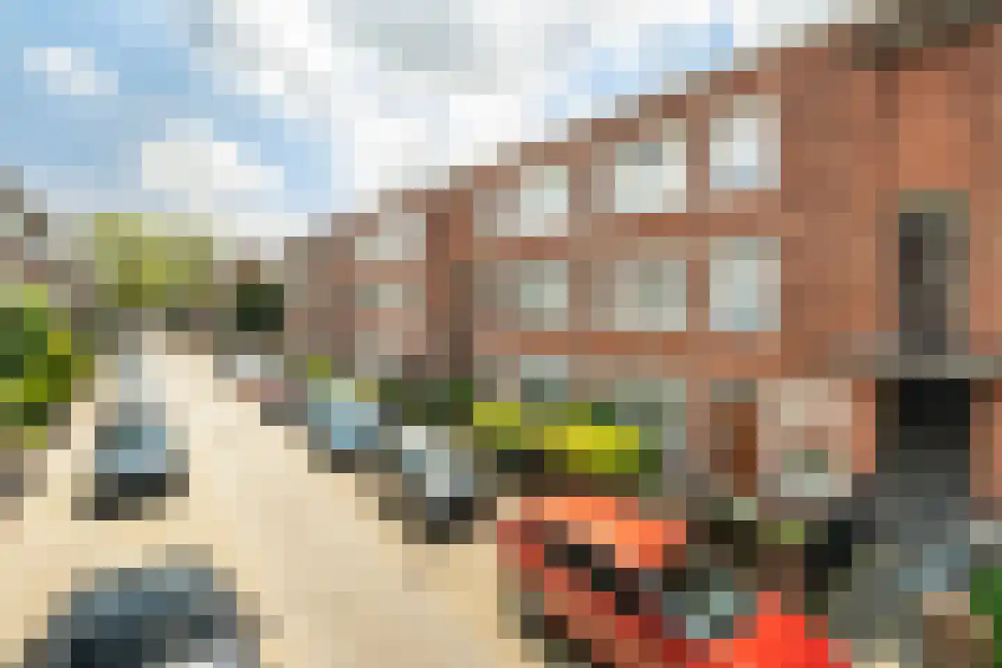 Hulshorststraat 97 Den Haag thumbnail 22