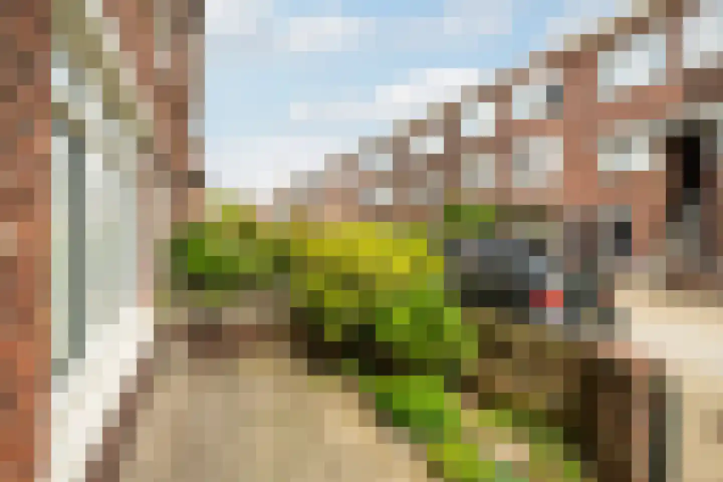 Hulshorststraat 97 Den Haag thumbnail 24
