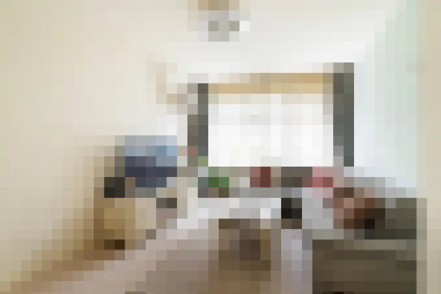 Hulshorststraat 97 Den Haag thumbnail 4