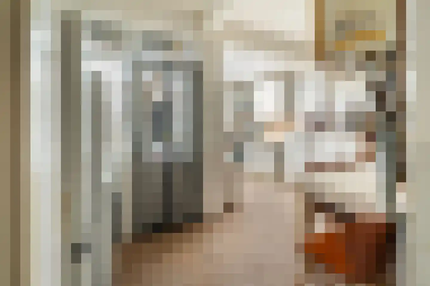 Hulshorststraat 97 Den Haag thumbnail 7
