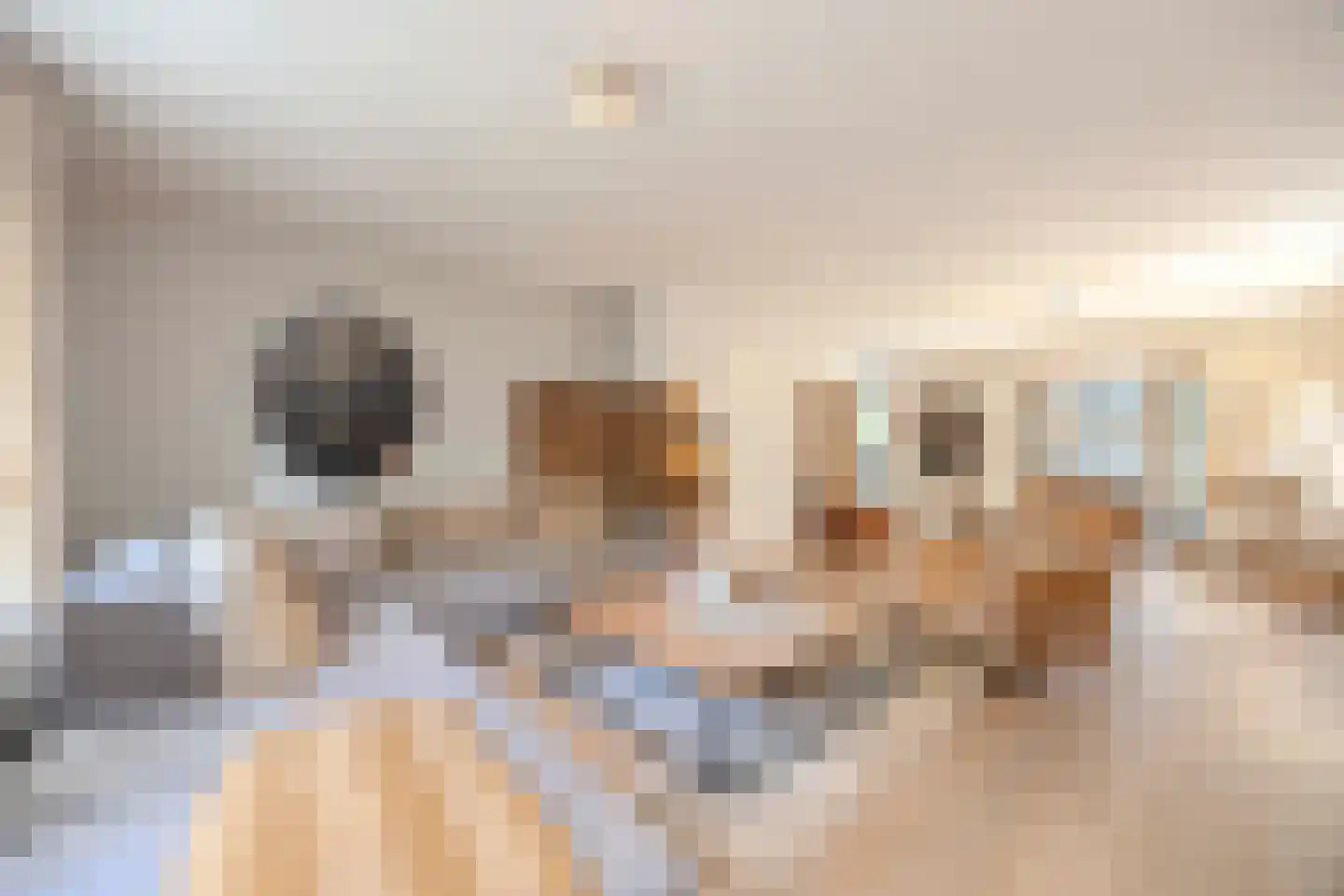 Hulst 10 Best thumbnail 11