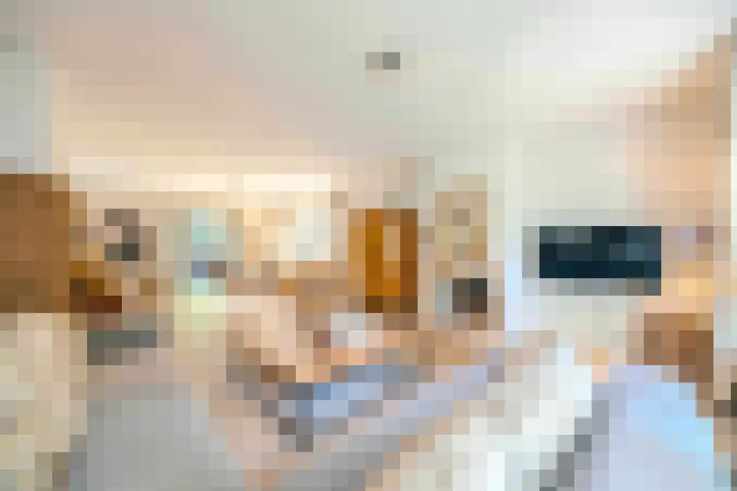 Hulst 10 Best thumbnail 12