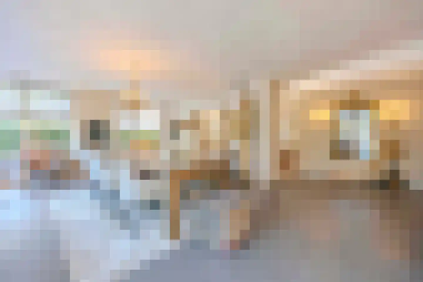 Hulst 10 Best thumbnail 19