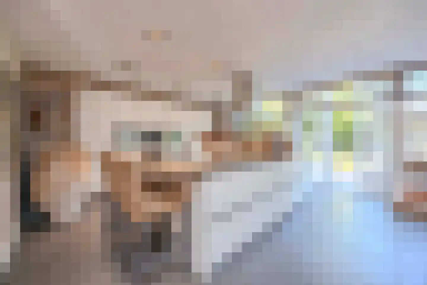 Hulst 10 Best thumbnail 20