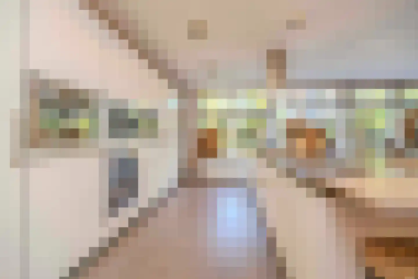 Hulst 10 Best thumbnail 22