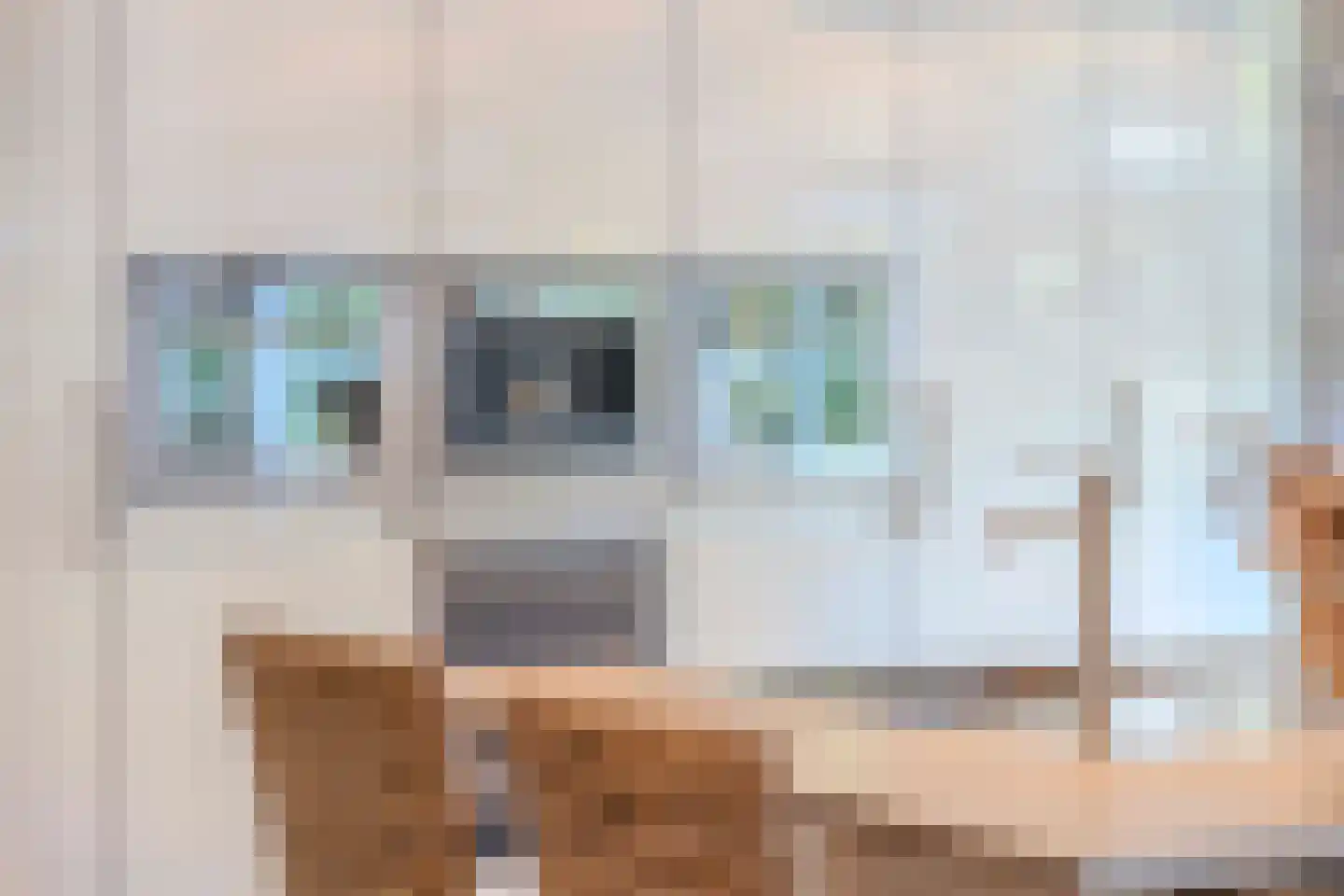 Hulst 10 Best thumbnail 23