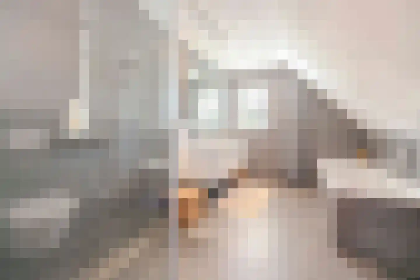 Hulst 10 Best thumbnail 30