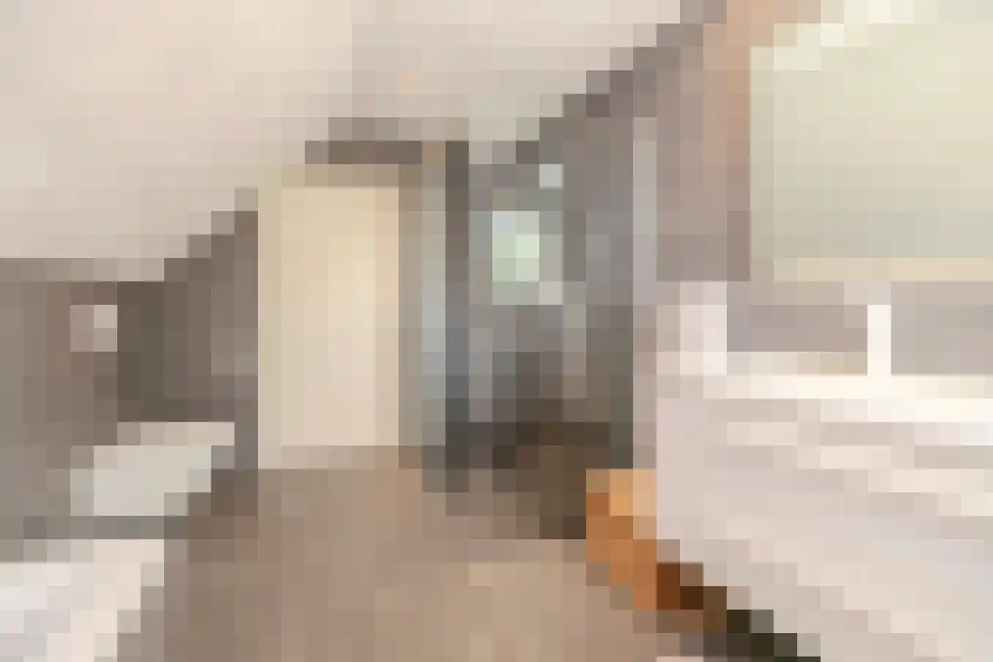 Hulst 10 Best thumbnail 31