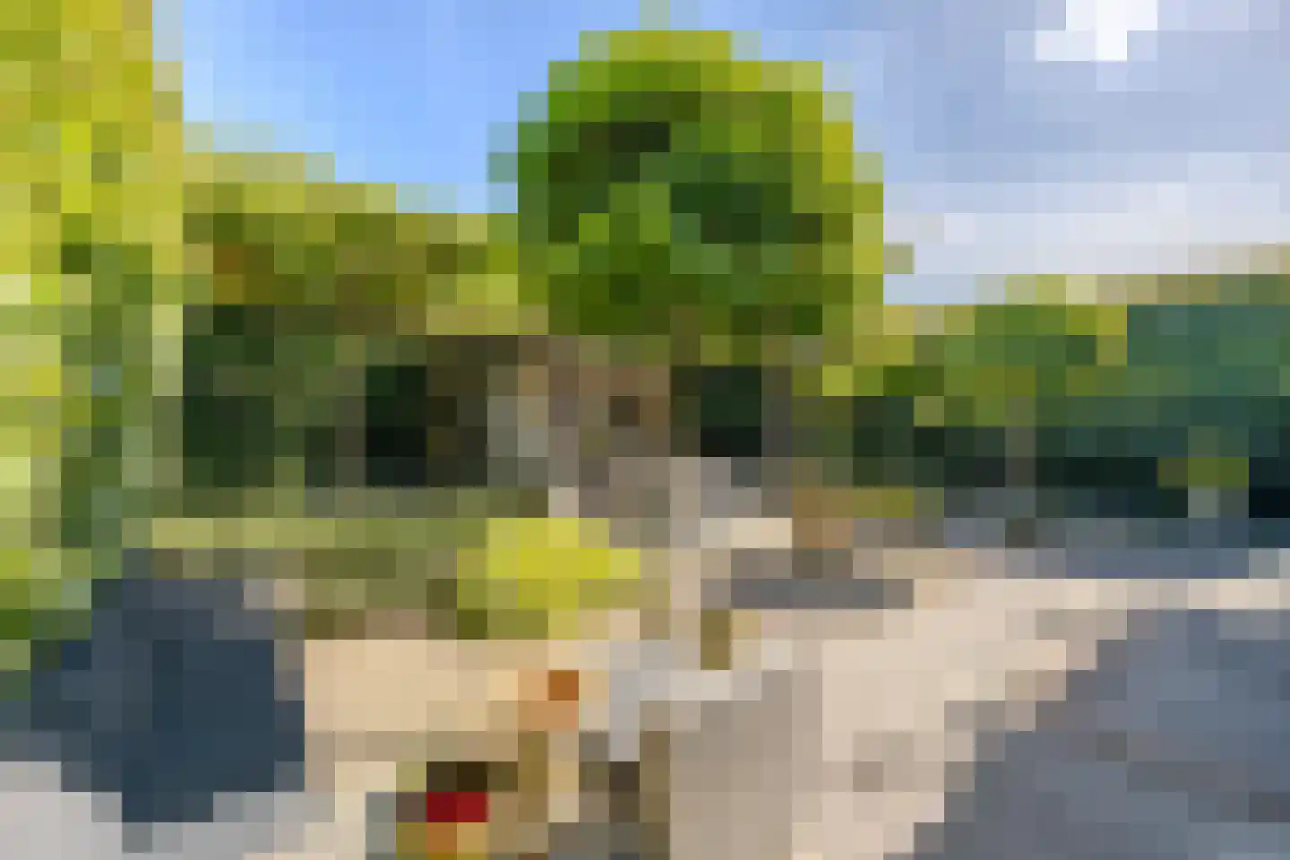 Hulst 10 Best thumbnail 32