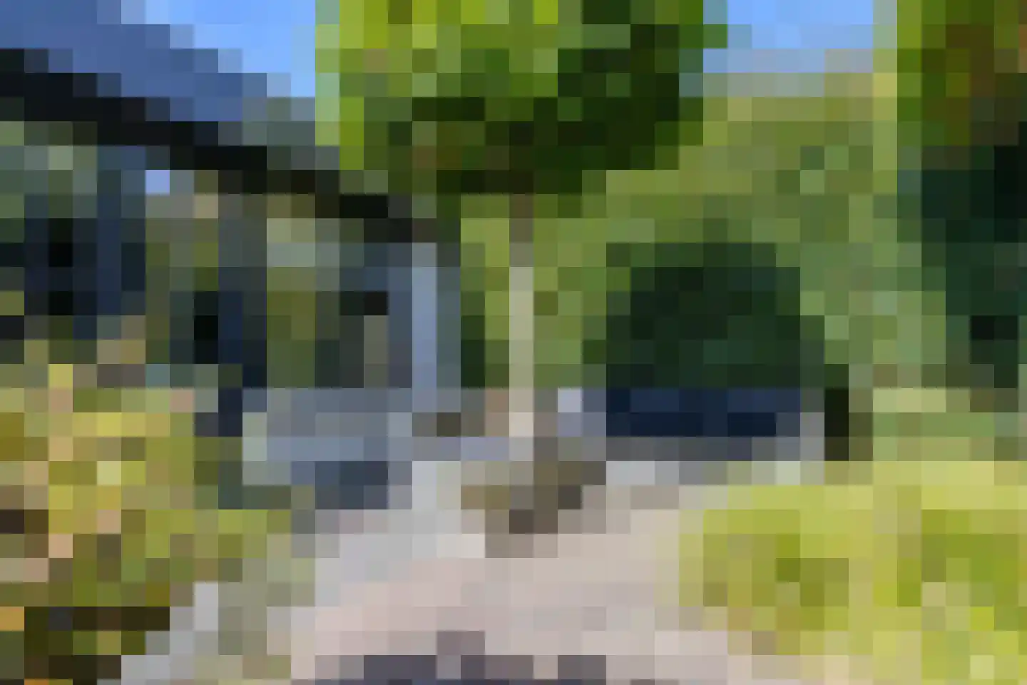 Hulst 10 Best thumbnail 35