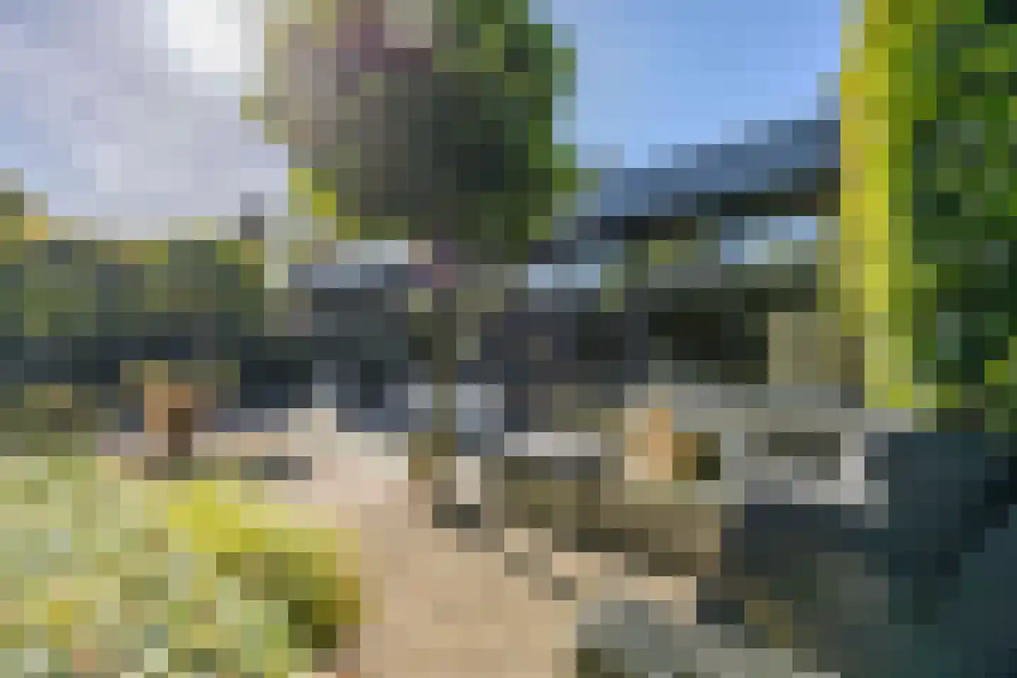 Hulst 10 Best thumbnail 37