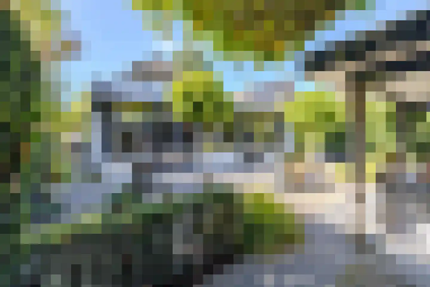 Hulst 10 Best thumbnail 5