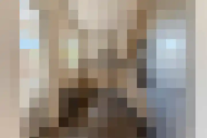 Hulst 105 Geldrop thumbnail 10