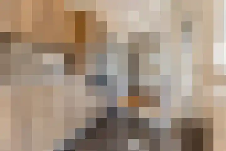 Hulst 105 Geldrop thumbnail 12
