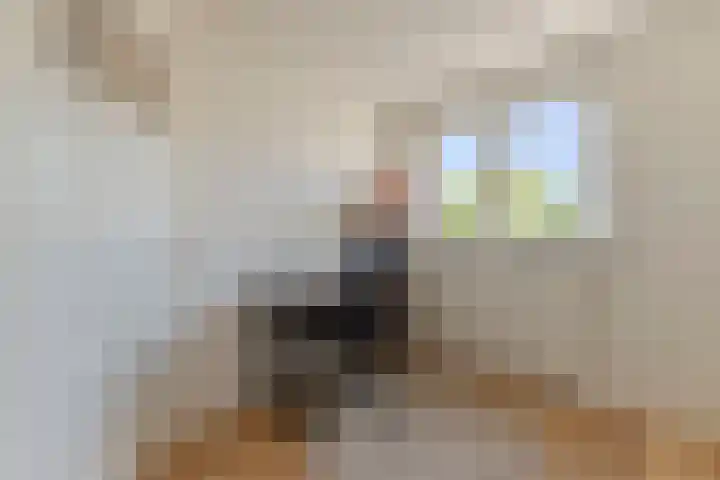 Hulst 105 Geldrop thumbnail 19