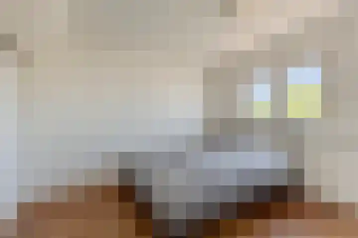 Hulst 105 Geldrop thumbnail 30