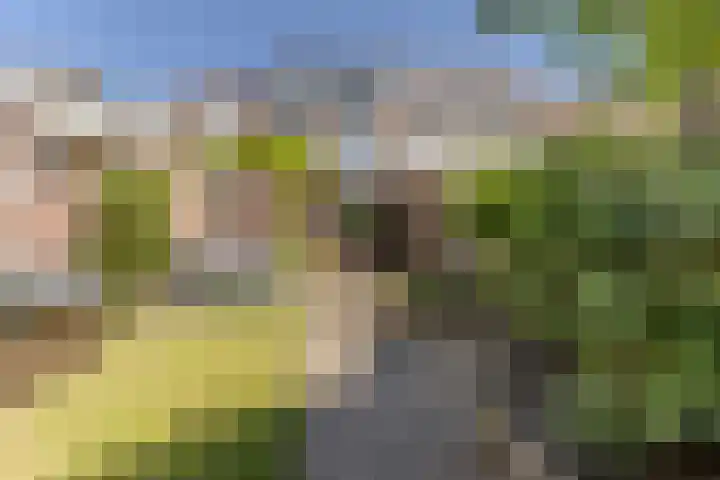 Hulst 105 Geldrop thumbnail 34