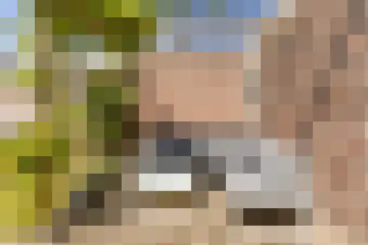 Hulst 105 Geldrop thumbnail 38