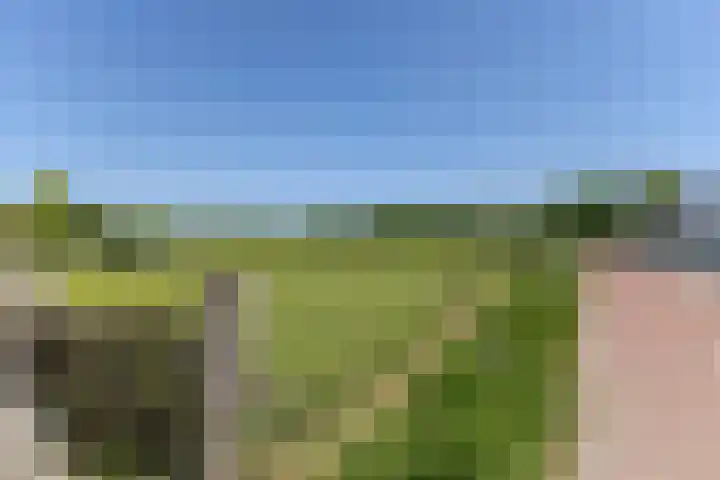 Hulst 105 Geldrop thumbnail 46