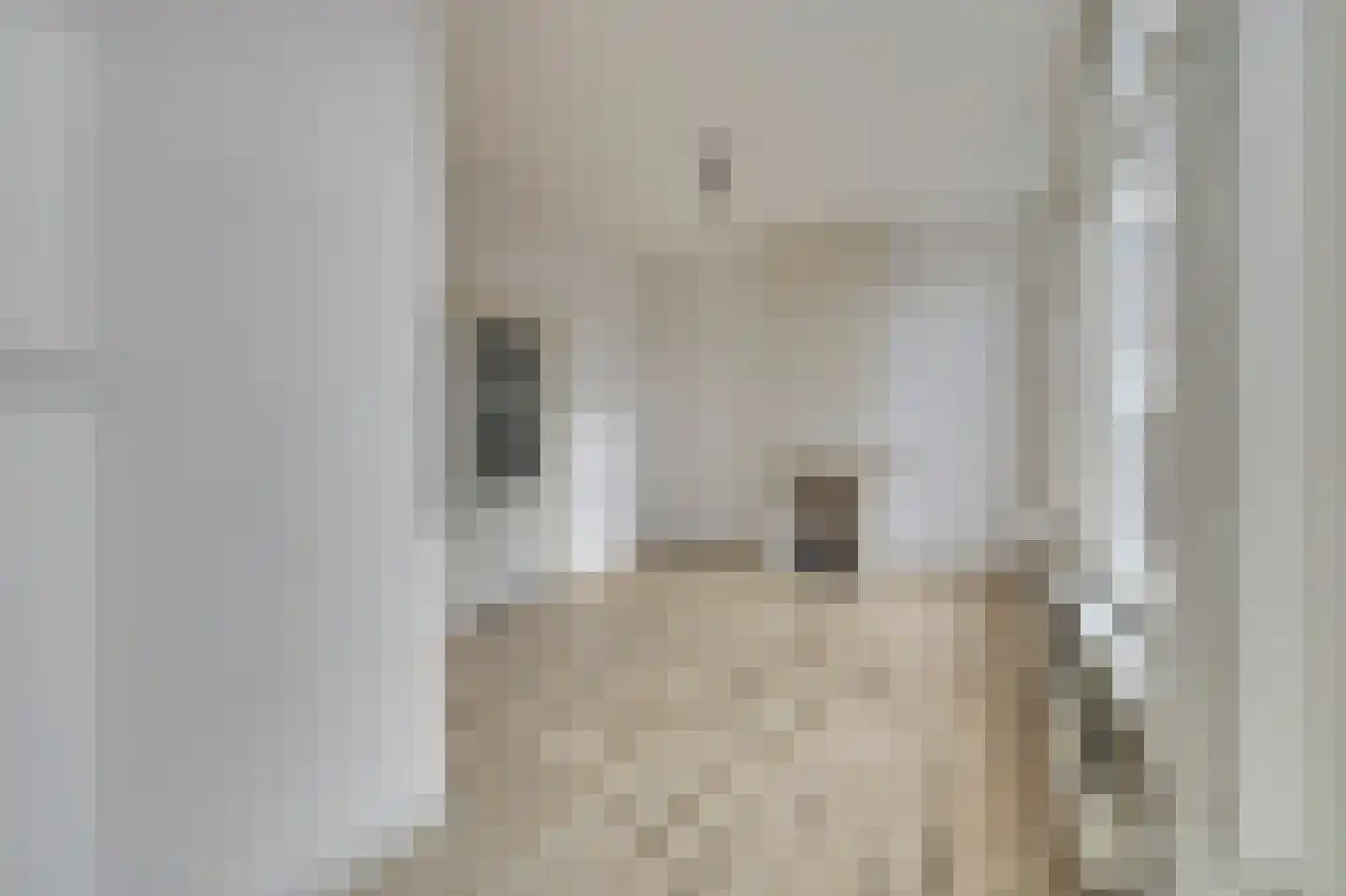 Hulst 105 Geldrop thumbnail 8