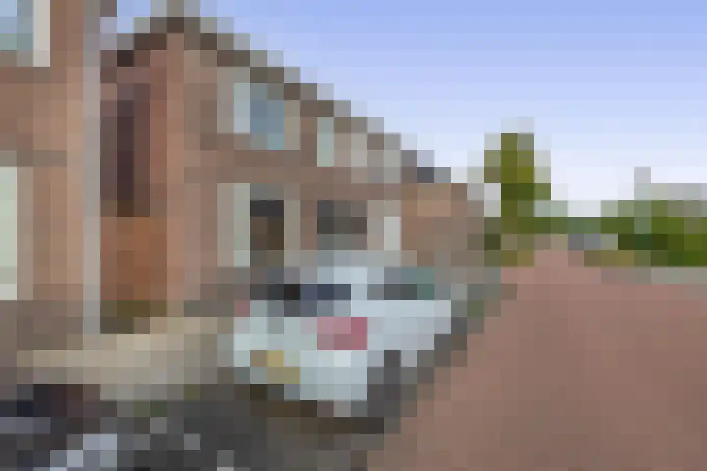 Hulst 109 Geldrop thumbnail 10