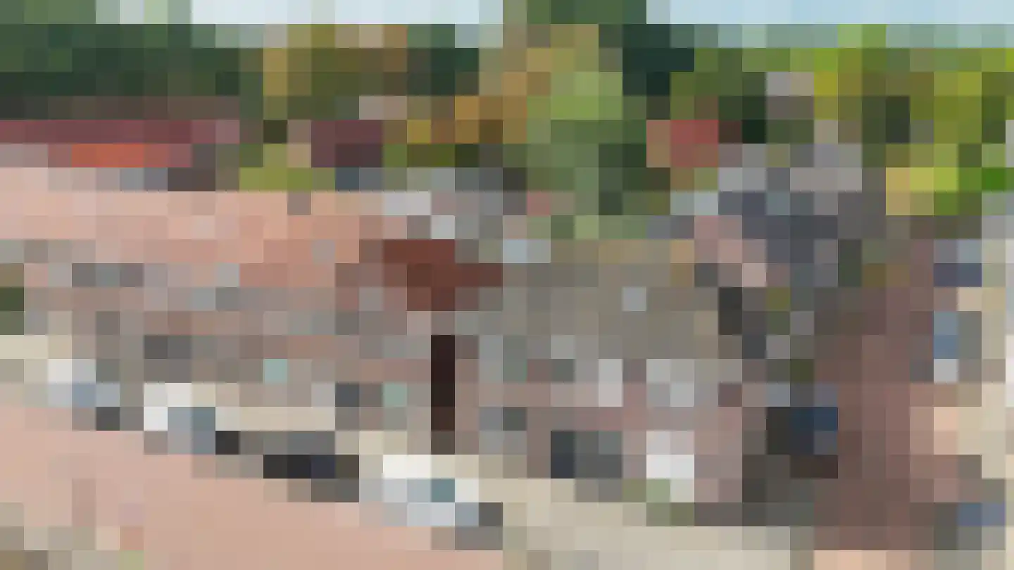 Hulst 109 Geldrop thumbnail 11