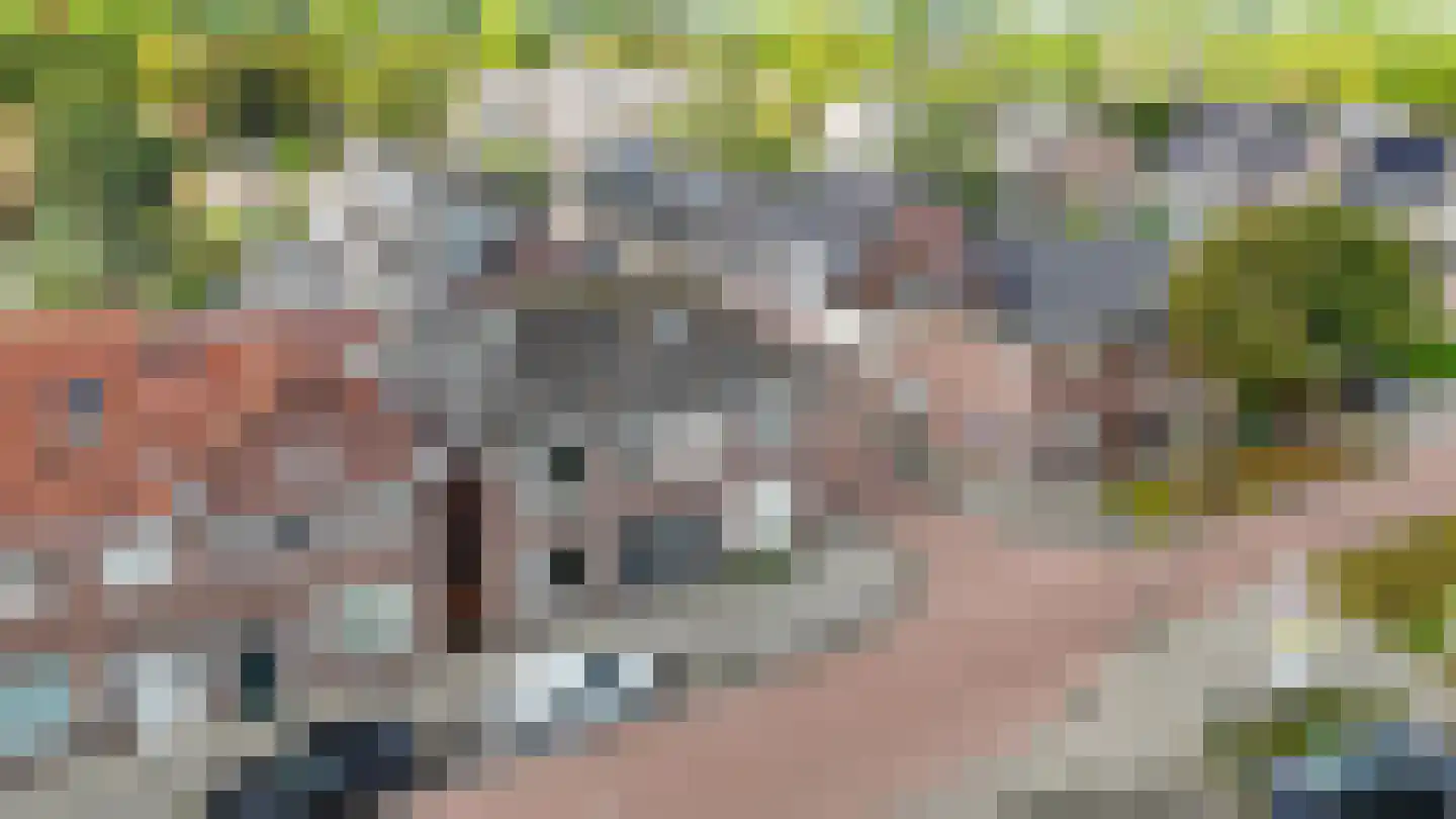 Hulst 109 Geldrop thumbnail 57