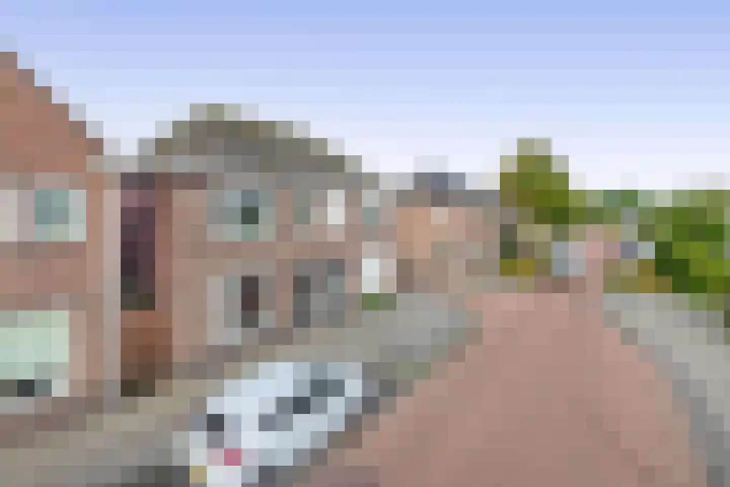 Hulst 109 Geldrop thumbnail 7