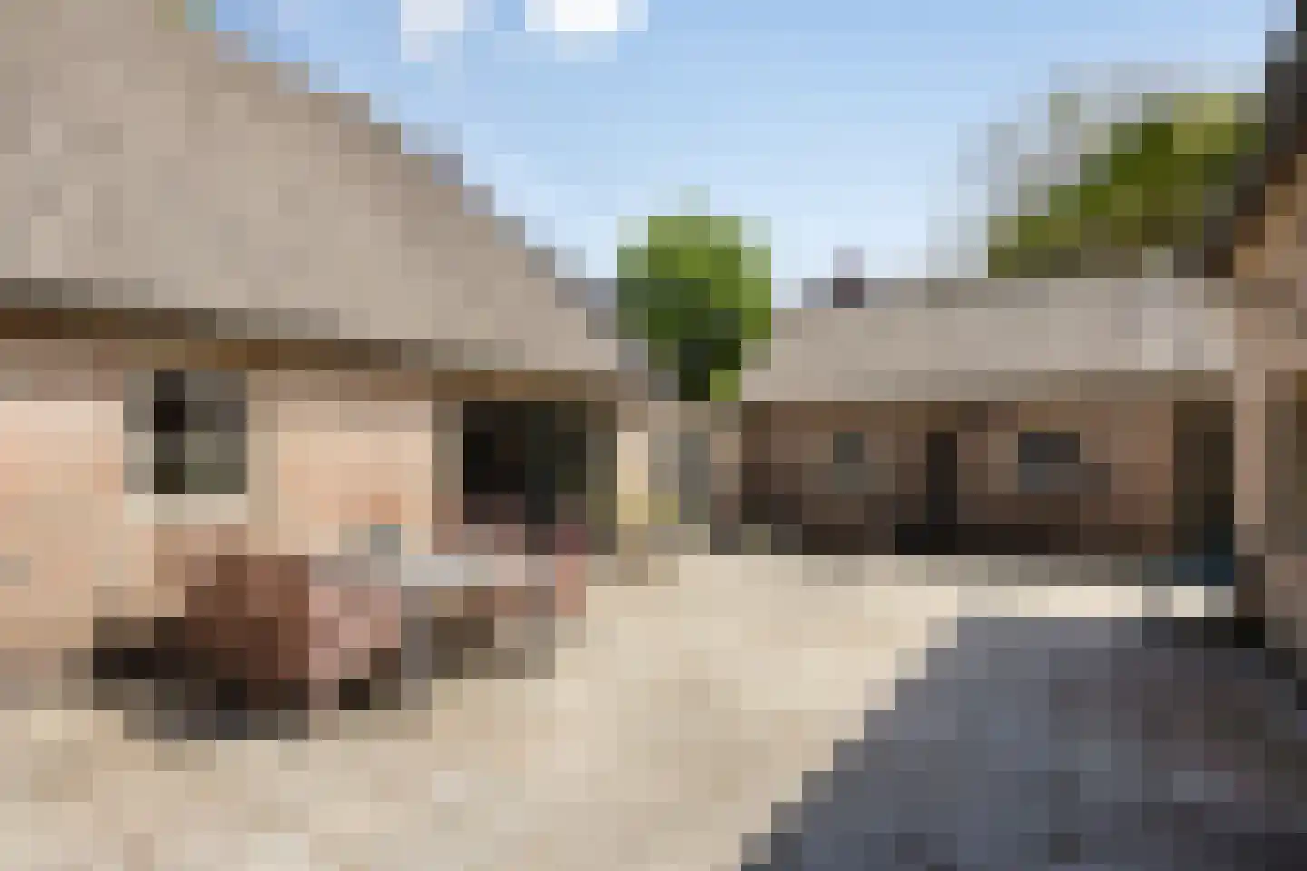 Hulst 11 Sint-Oedenrode thumbnail 30