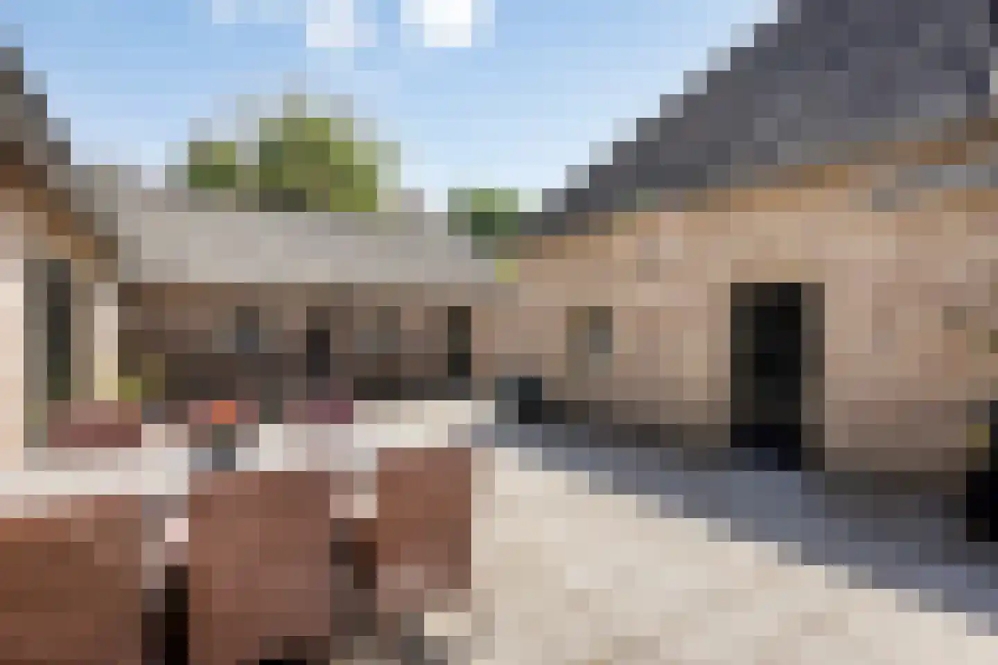 Hulst 11 Sint-Oedenrode thumbnail 31