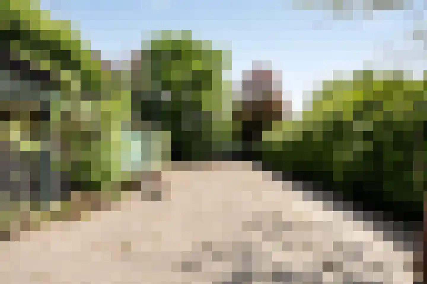 Hulst 11 Sint-Oedenrode thumbnail 41