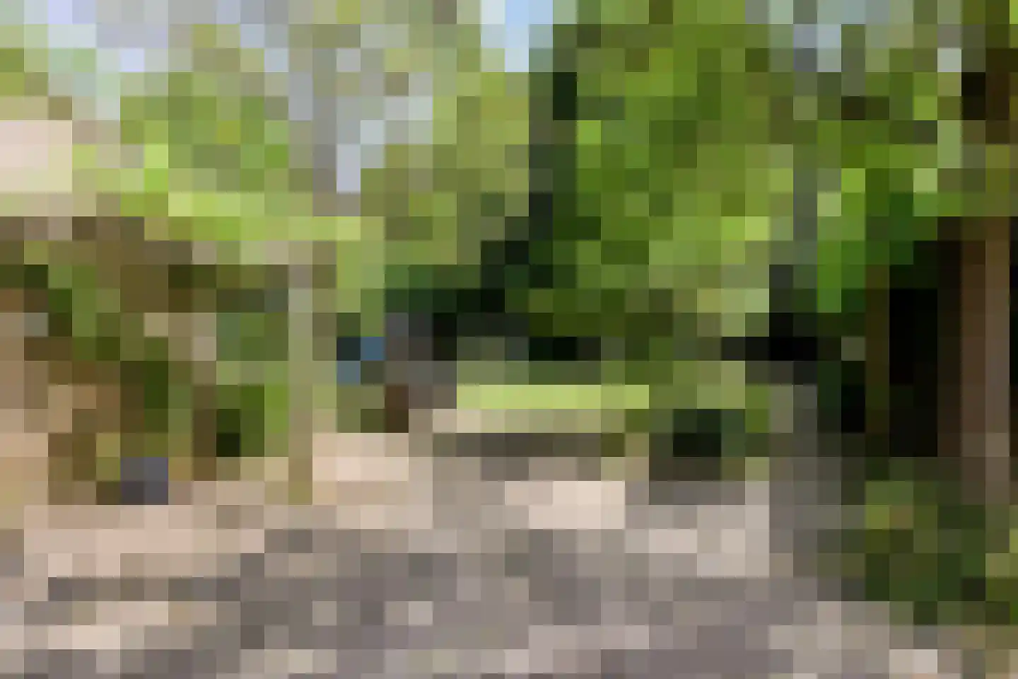 Hulst 11 Sint-Oedenrode thumbnail 42