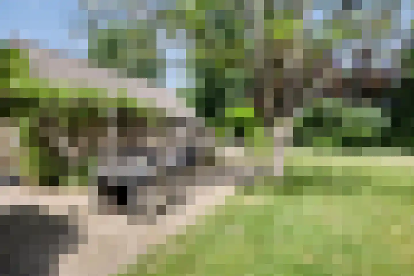 Hulst 11 Sint-Oedenrode thumbnail 43