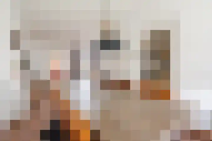 Hulst 13 Geldrop thumbnail 10