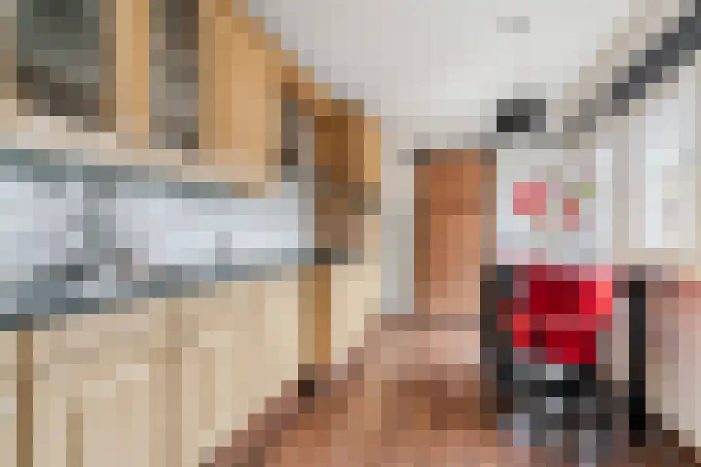 Hulst 13 Geldrop thumbnail 13