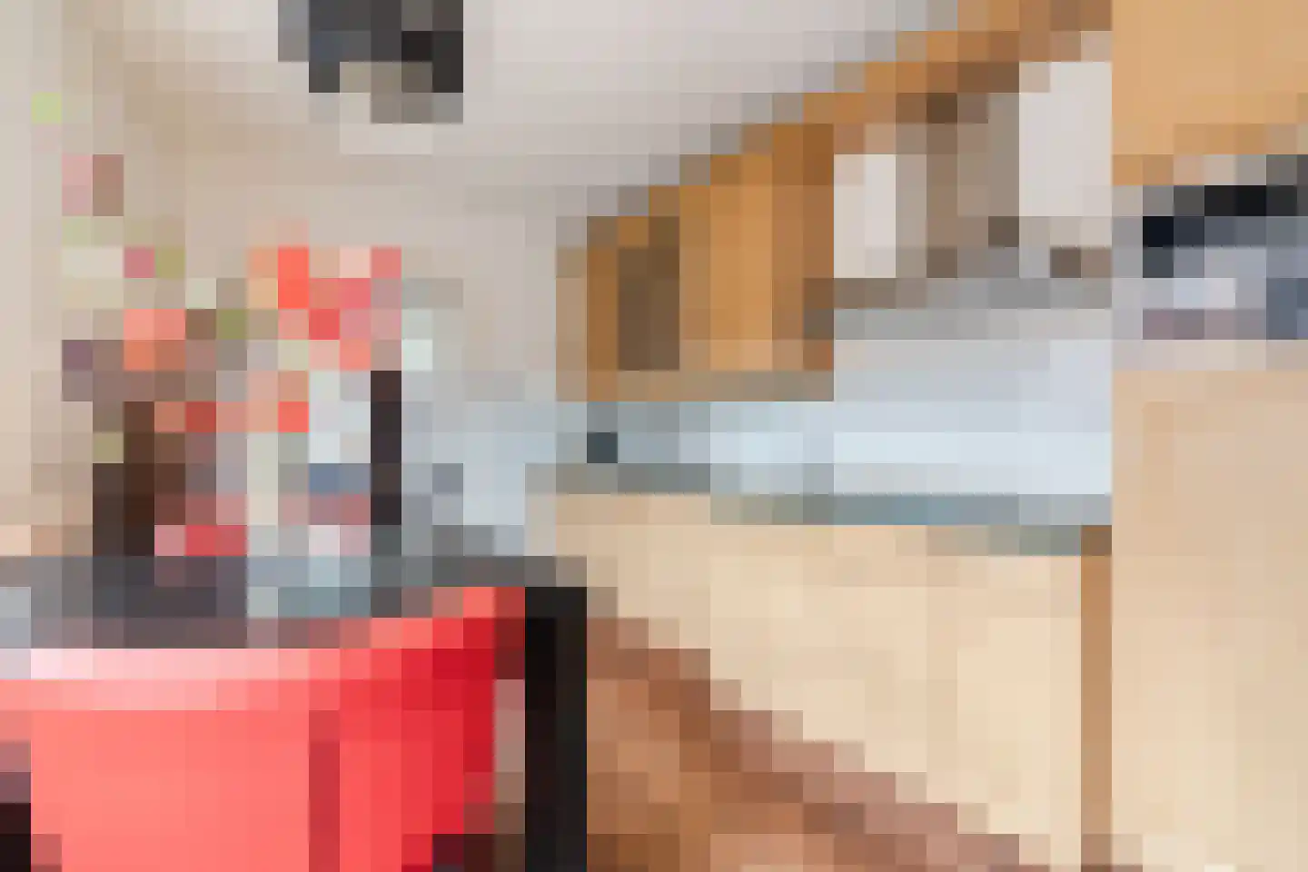 Hulst 13 Geldrop thumbnail 15