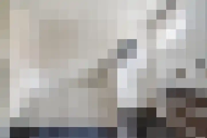 Hulst 13 Geldrop thumbnail 16