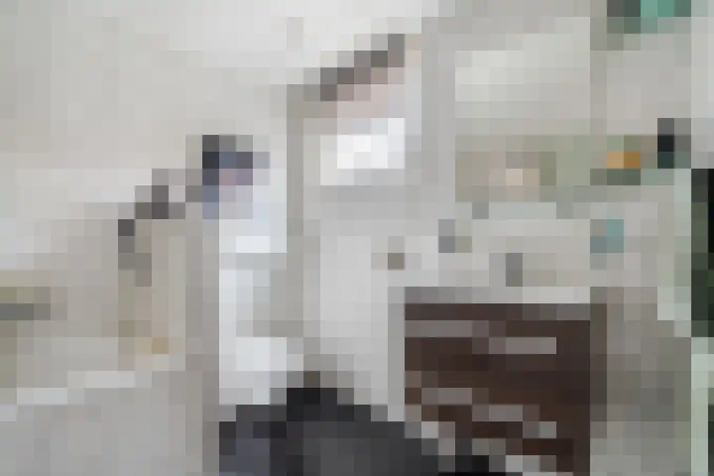 Hulst 13 Geldrop thumbnail 17