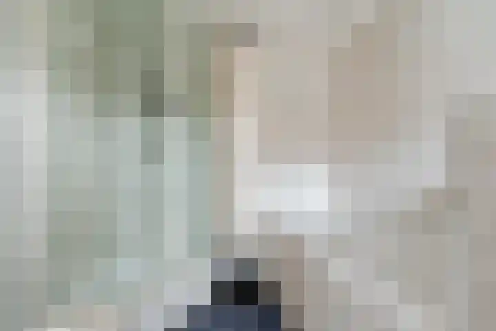 Hulst 13 Geldrop thumbnail 18