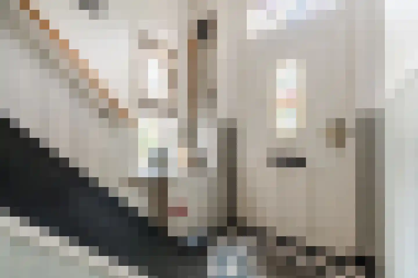 Hulst 13 Geldrop thumbnail 20