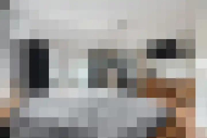 Hulst 13 Geldrop thumbnail 24