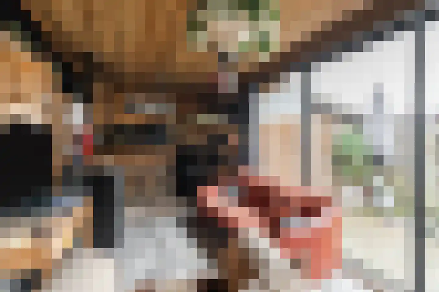 Hulst 13 Geldrop thumbnail 35
